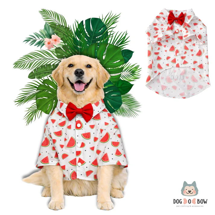 DOB Watermelon Print Shirt