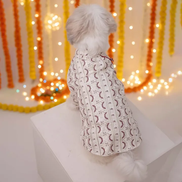 Furvia Festive Glory Kurta — another view