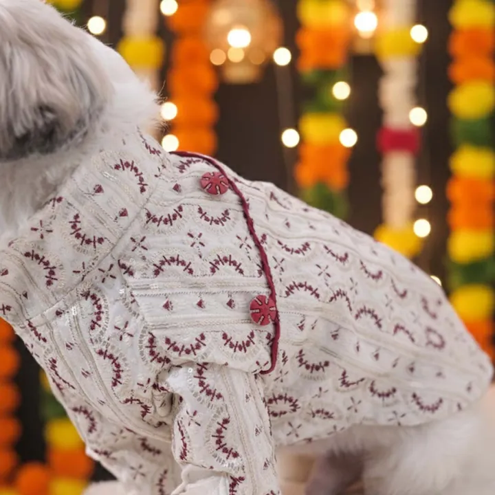 Furvia Festive Glory Kurta — fabric and detail