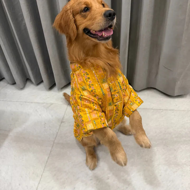 Furvia Golden Meadow Mirror-Work Kurta — another view