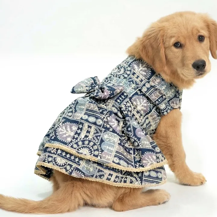 Furvia Indigo Royale Wedding Lehenga for dogs