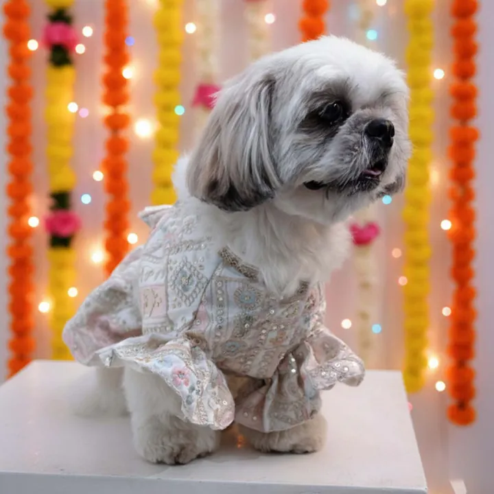Furvia Joyful Step Designer Lehenga for dogs