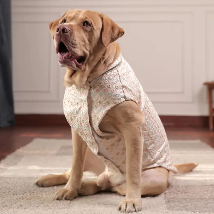 Furvia Luxe Pastel Festive Kurta for dogs