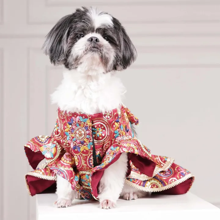 Furvia Luxury Embroidered Lehenga for dogs