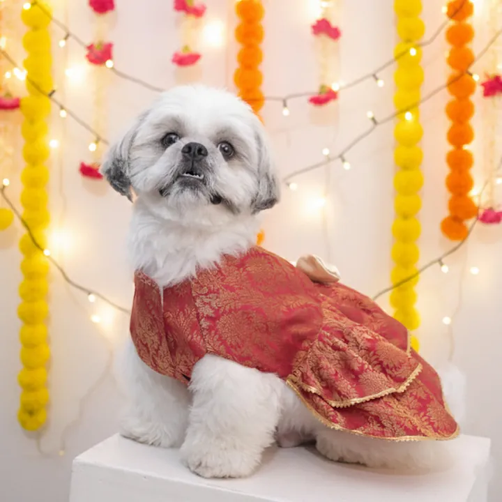 Furvia Maharani Pet Lehenga for dogs