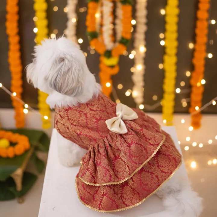 Furvia Maharani Pet Lehenga — another view