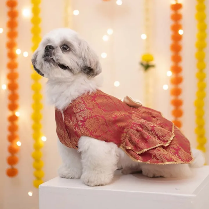Furvia Maharani Pet Lehenga — fabric and detail