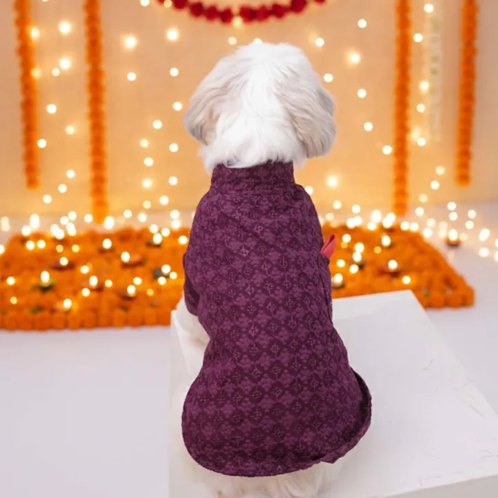 Furvia Maroon Majesty Chikankari Kurta — another view