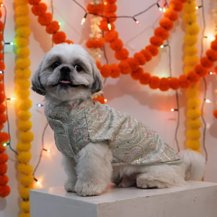 Furvia Mint Dream Designer Kurta for dogs
