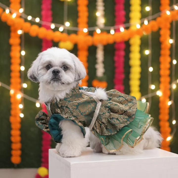 Furvia Moss Magic Lehenga — fabric and detail