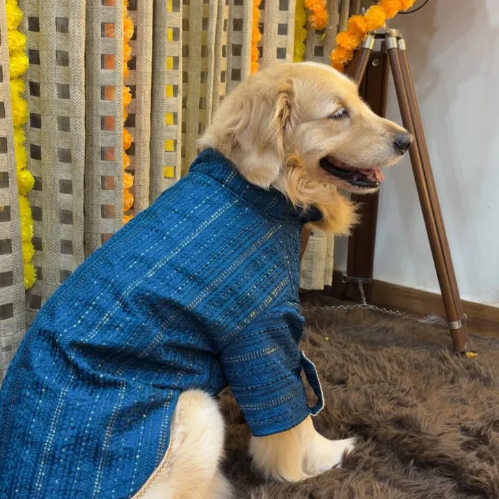 Furvia Peacock Blue Zari Kurta — another view