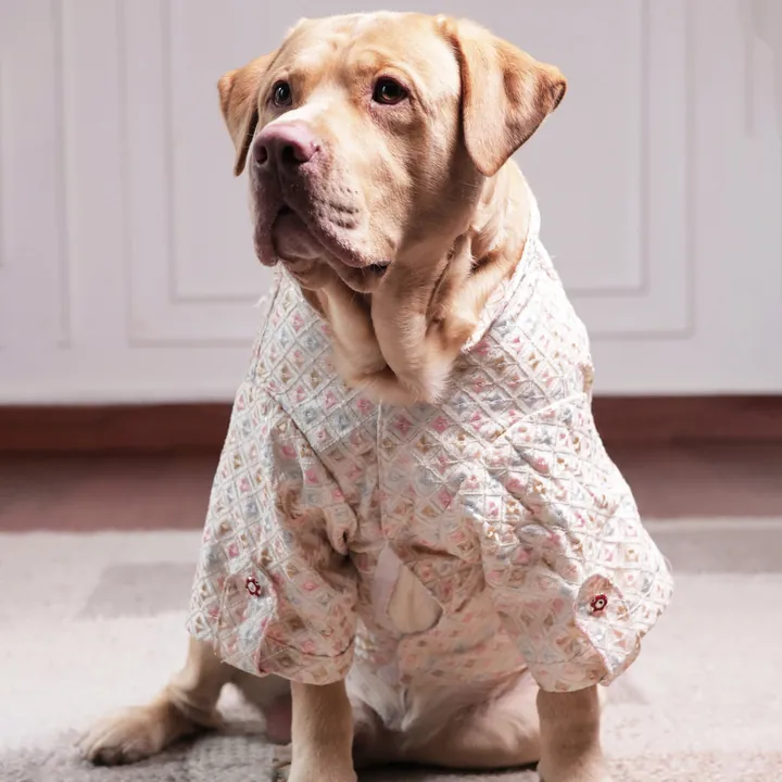 Furvia Premium Pastel Designer Kurta for dogs