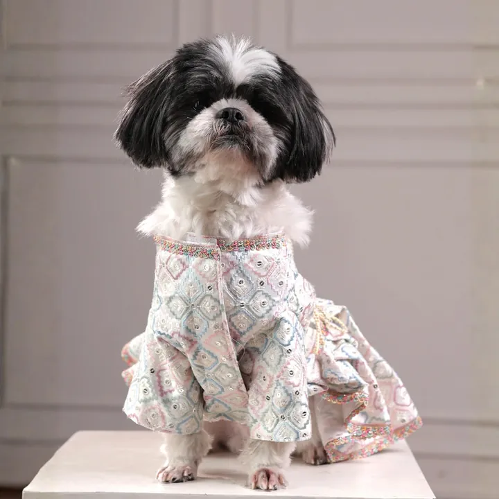 Furvia Princess Pastel Ethnic Lehenga for dogs