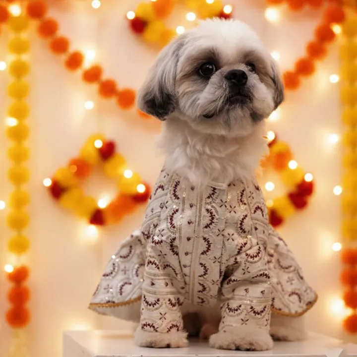 Furvia Ruby Starlight Lehenga for dogs