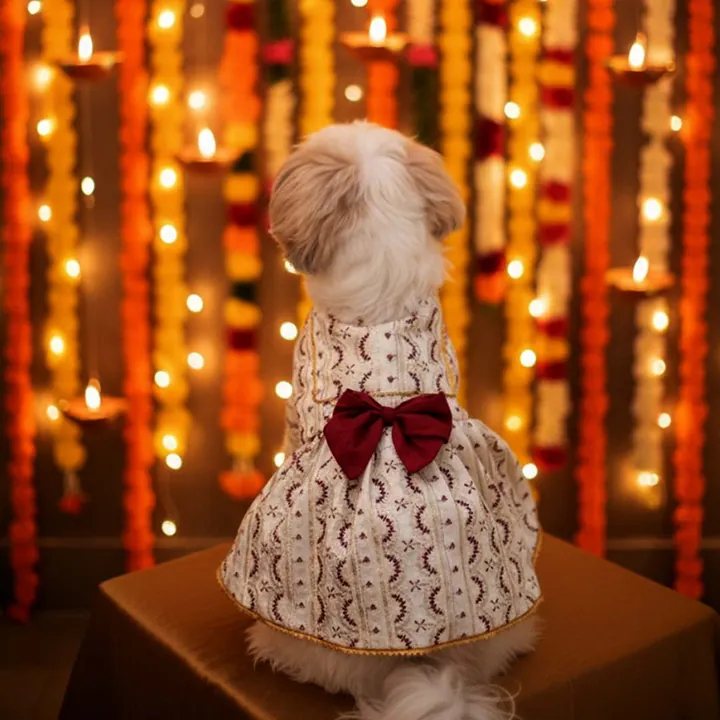 Furvia Ruby Starlight Lehenga — another view