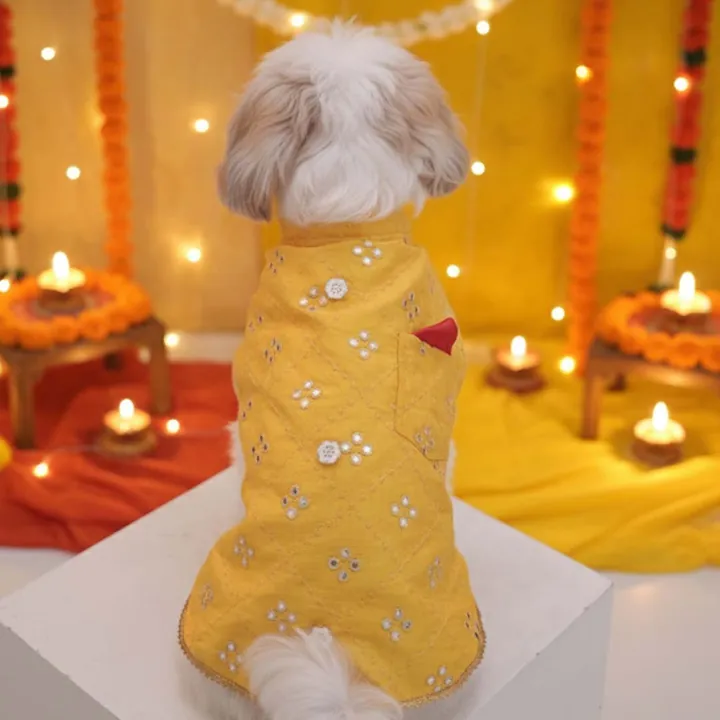 Furvia Sunshine Smiles Kurta — another view