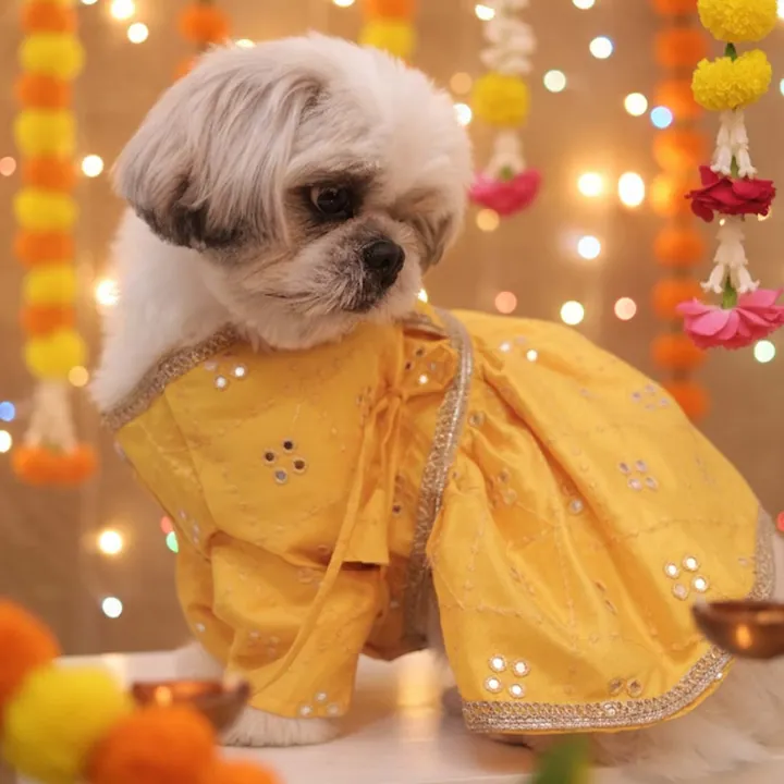 Furvia Sunshine Swirl Lehenga — another view