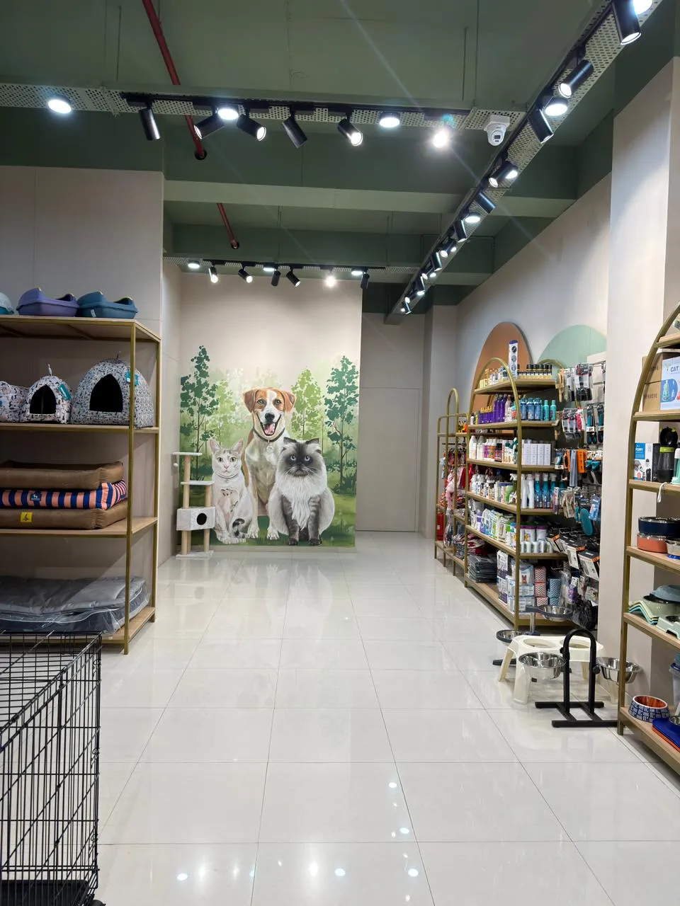 Inside Miou and Wuff Sindhubhavan Road store — photo 2