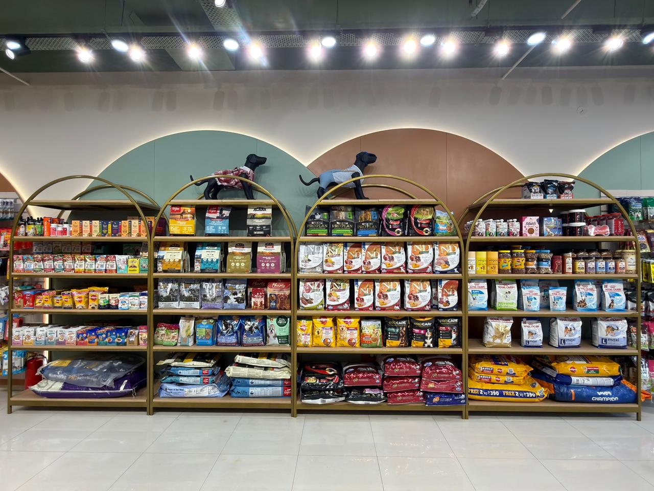 Inside Miou and Wuff Sindhubhavan Road store &mdash; photo 3