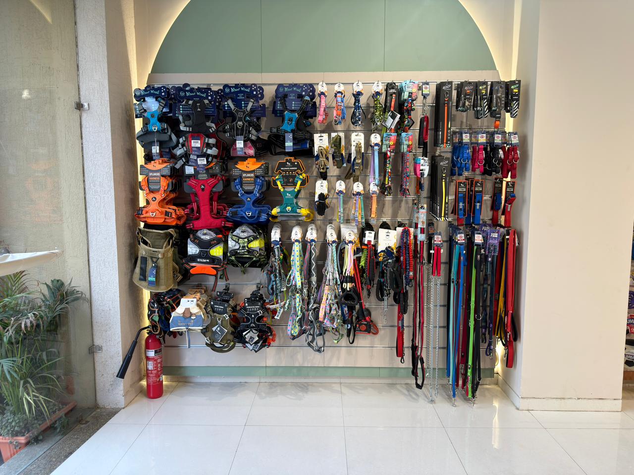 Inside Miou and Wuff Sindhubhavan Road store &mdash; photo 4