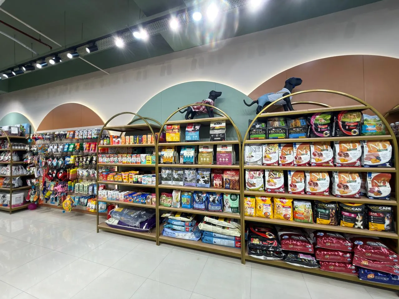 Inside Miou and Wuff South Bopal store — photo 2
