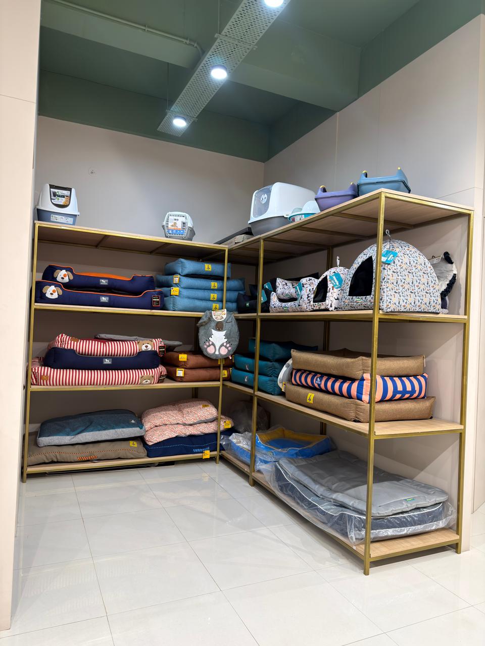 Inside Miou and Wuff South Bopal store &mdash; photo 6